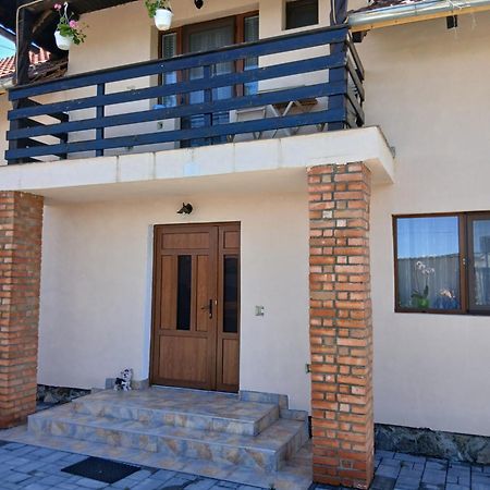 Casa Loredana Cîrţişoara Extérieur photo