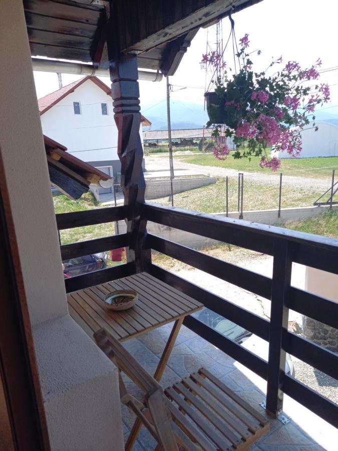 Casa Loredana Cîrţişoara Extérieur photo