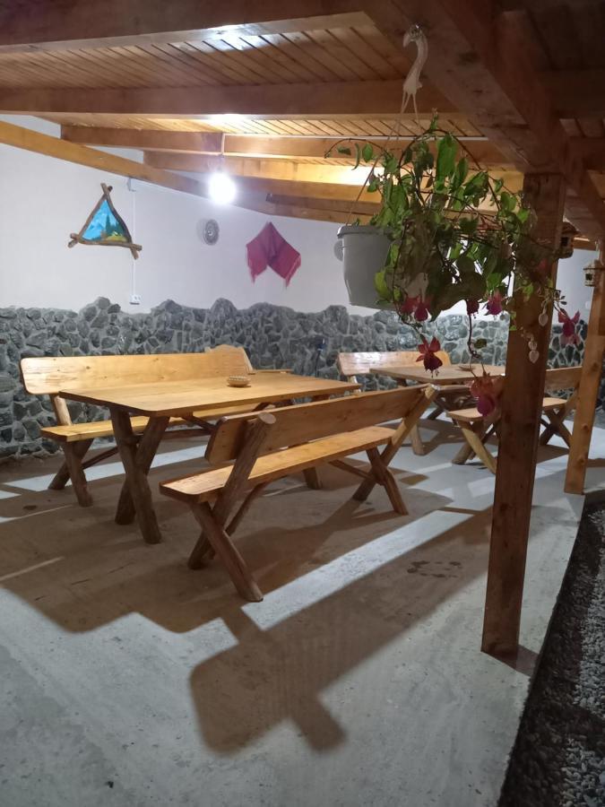 Casa Loredana Cîrţişoara Extérieur photo