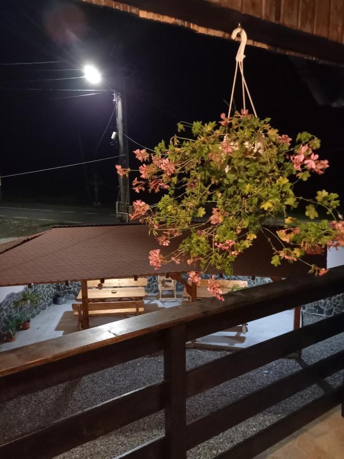 Casa Loredana Cîrţişoara Extérieur photo