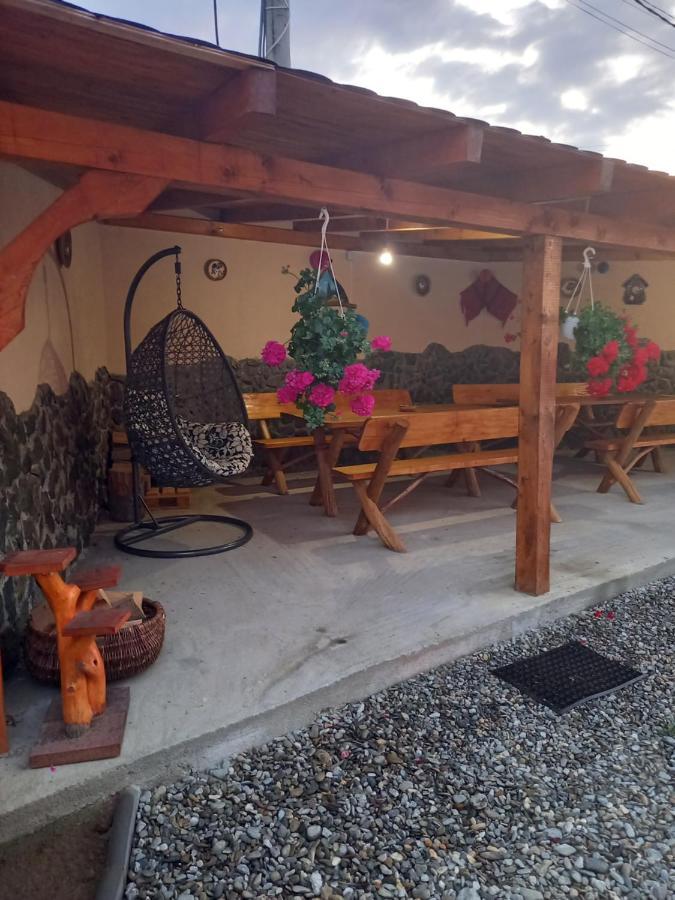 Casa Loredana Cîrţişoara Extérieur photo