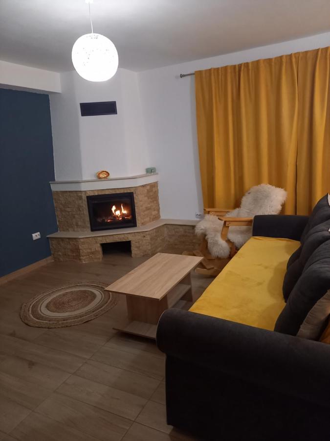 Casa Loredana Cîrţişoara Extérieur photo