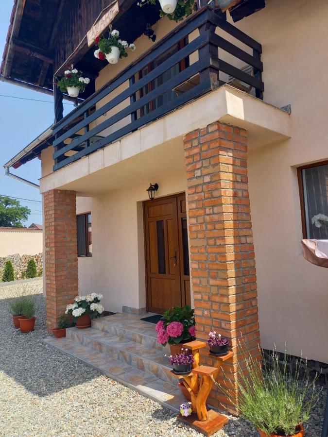 Casa Loredana Cîrţişoara Extérieur photo