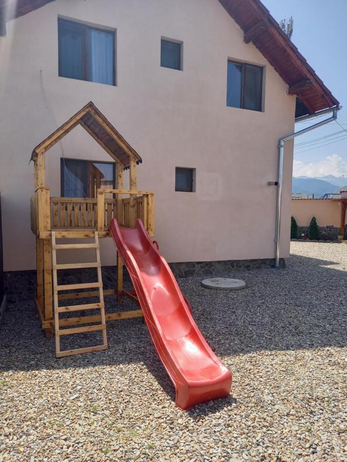 Casa Loredana Cîrţişoara Extérieur photo