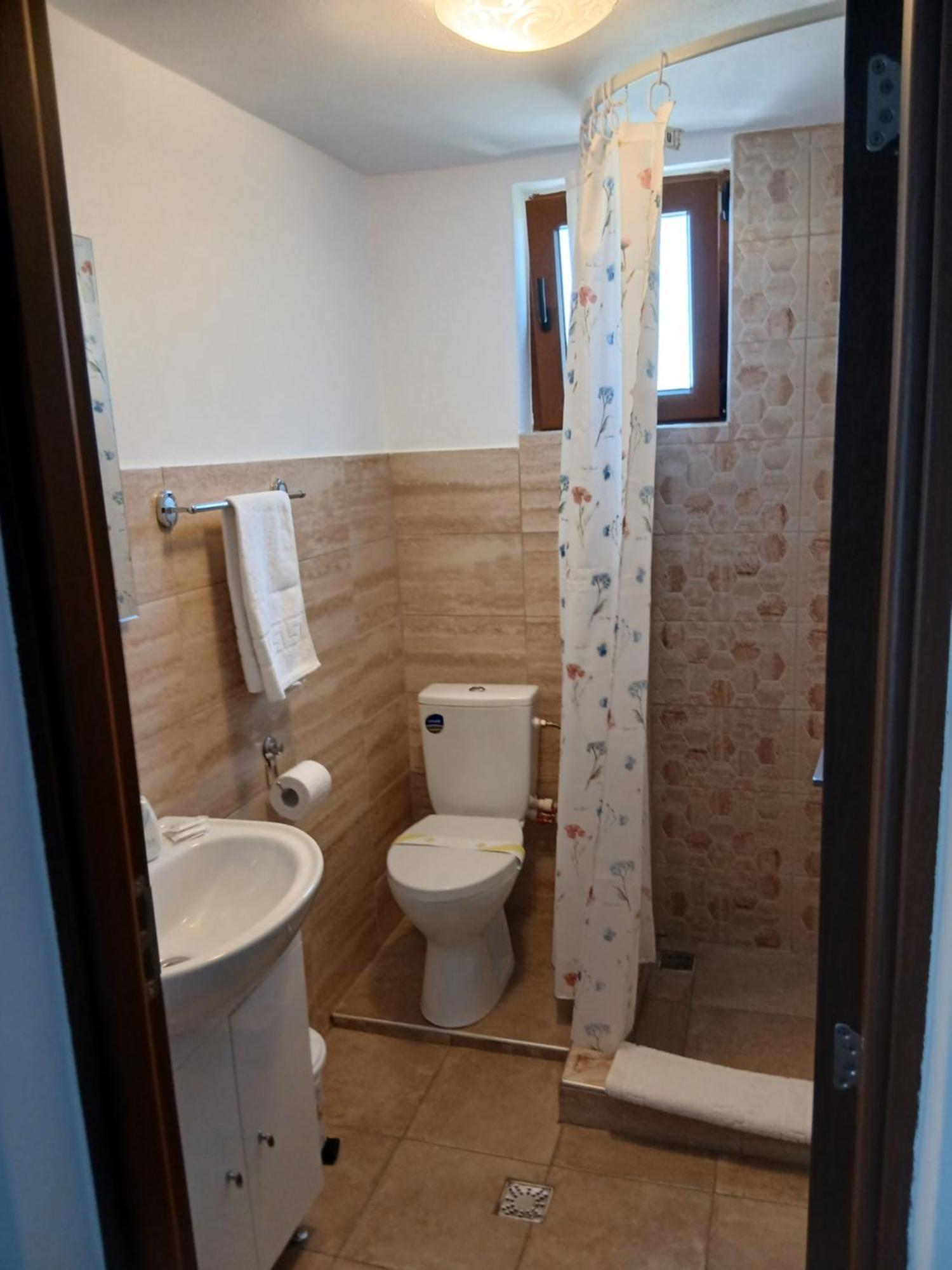 Casa Loredana Cîrţişoara Extérieur photo